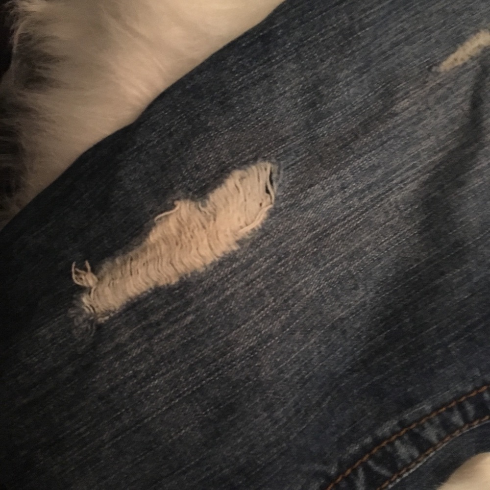 Jeans - Picture 3 of 5